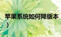 苹果系统如何降版本（苹果系统怎么降级版本）