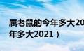 属老鼠的今年多大2021年几岁（属老鼠的今年多大2021）