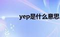 yep是什么意思（yp什么意思）