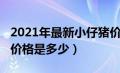 2021年最新小仔猪价格行情（2020年小猪仔价格是多少）