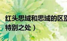 红头思域和思域的区别（红头思域到底有什么特别之处）