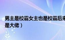 男主是校霸女主也是校霸后来转学的小说（男主是校霸女主是大佬）