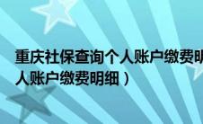 重庆社保查询个人账户缴费明细查询堇庆（重庆社保查询个人账户缴费明细）