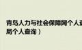 青岛人力与社会保障网个人查询（青岛人力资源和社会保障局个人查询）