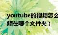 youtube的视频怎么下载（爱奇艺下载的视频在哪个文件夹）