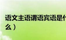 语文主语谓语宾语是什么（主语谓语宾语是什么）