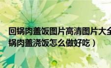 回锅肉盖饭图片高清图片大全（回锅肉盖浇饭的做法大全回锅肉盖浇饭怎么做好吃）