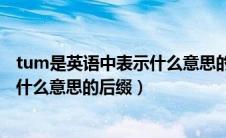 tum是英语中表示什么意思的后缀形式（tum是英语中表示什么意思的后缀）