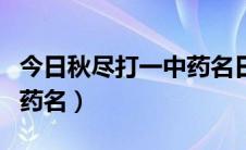 今日秋尽打一中药名日秋分（今日秋尽打一中药名）