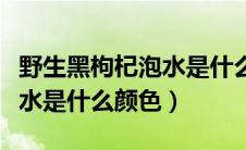 野生黑枸杞泡水是什么颜色的（野生黑枸杞泡水是什么颜色）