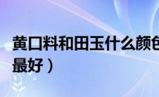 黄口料和田玉什么颜色最好（和田玉什么颜色最好）