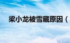 梁小龙被雪藏原因（梁小龙是怎么死的）