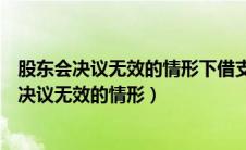 股东会决议无效的情形下借支的资金是挪用资金吗（股东会决议无效的情形）