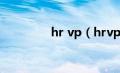 hr vp（hrvp是什么职位）