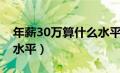 年薪30万算什么水平的人（年薪30万算什么水平）