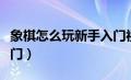 象棋怎么玩新手入门视频（象棋怎么玩新手入门）