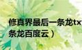 修真界最后一条龙txt宝书网（修真界最后一条龙百度云）