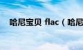 哈尼宝贝 flac（哈尼宝贝mp3免费下载）