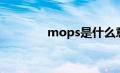 mops是什么意思（mops）