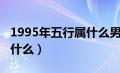 1995年五行属什么男木女水（1995年五行属什么）