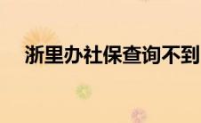 浙里办社保查询不到（浙里办社保查询）