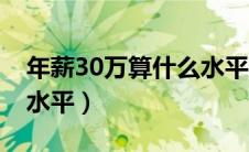 年薪30万算什么水平的人（年薪30万算什么水平）