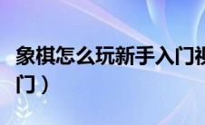 象棋怎么玩新手入门视频（象棋怎么玩新手入门）