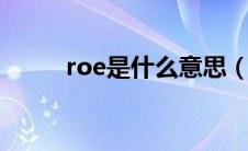 roe是什么意思（roi是什么意思）