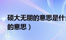 硕大无朋的意思是什么 标准答案（硕大无朋的意思）