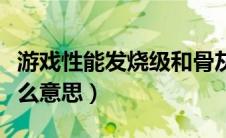 游戏性能发烧级和骨灰级（游戏性能发烧级什么意思）