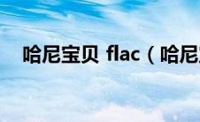 哈尼宝贝 flac（哈尼宝贝mp3免费下载）