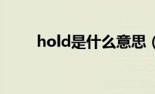 hold是什么意思（hit是什么意思）