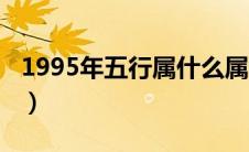 1995年五行属什么属性（1995年五行属什么）