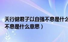 天行健君子以自强不息是什么意思20字（天行健君子以自强不息是什么意思）