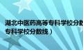 湖北中医药高等专科学校分数线2022西藏（湖北中医药高等专科学校分数线）