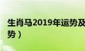 生肖马2019年运势及运程（生肖马2019年运势）