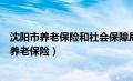 沈阳市养老保险和社会保障局（沈阳人力资源和社会保障局养老保险）