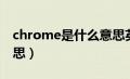 chrome是什么意思英语（chrome是什么意思）