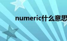 numeric什么意思（eric什么意思）