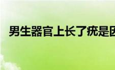 男生器官上长了疣是因为什么（生殖器疣）