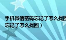 手机微信密码忘记了怎么找回密码账号申诉（手机微信密码忘记了怎么找回）