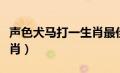 声色犬马打一生肖最佳答案（声色犬马打一生肖）