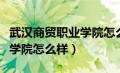 武汉商贸职业学院怎么样知乎（武汉商贸职业学院怎么样）