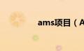 ams项目（AMS的费用）