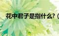 花中君子是指什么?（花中君子是指什么）