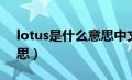 lotus是什么意思中文翻译（lotus是什么意思）