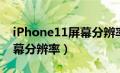 iPhone11屏幕分辨率怎么调（iphone11屏幕分辨率）