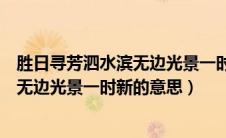 胜日寻芳泗水滨无边光景一时新的下一句（胜日寻芳泗水滨无边光景一时新的意思）