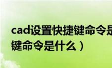 cad设置快捷键命令是什么呢（cad设置快捷键命令是什么）