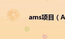 ams项目（AMS的费用）